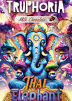 Thai elephant dong-dark chocolate