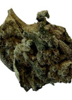 Purple Martian-INDICA