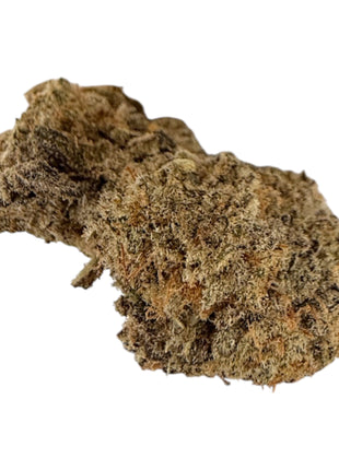 Maltesers - Flower - Hybrid