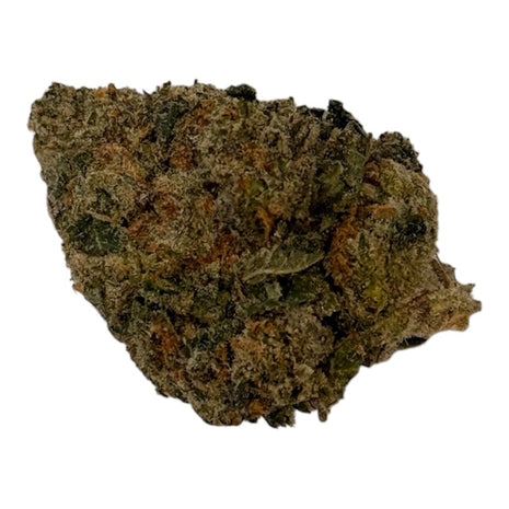Gelato Mint - Flower - Hybrid