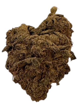 Jungle Cake - Flower - Hybrid