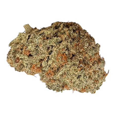 Sunset Sherbet - Flower - Indica