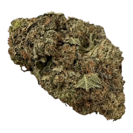 Rare Hinud - Flower - Hybrid